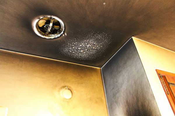Cost of Smoke Damage Remediation in Olathe